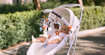 Advantages of high-contrast black and white color for newborn development