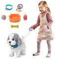 Smiling young girl walking a plush interactive toy dog on a leash; the set includes accessories such as a blue collar with “Tony” tag, orange food bowl, green bone, red bottle, multicolored rope ball, and a purple paw-shaped remote control, all displayed on a white background.